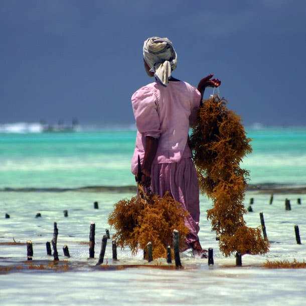 Zanzibar